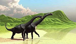 Brachiosaurus: Two Brachiosaurus dinosaurs come to the beach