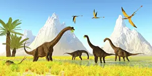 Pterosaur: Brachiosaurus dinosaurs eating water plants from a marsh
