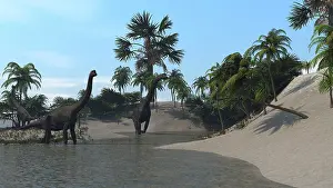 Brachiosaurus: Three Brachiosaurus dinosaurs grazing