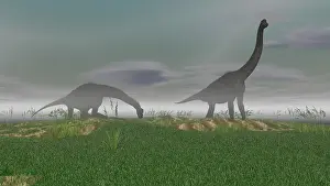 Haze: Two Brachiosaurus dinosaurs grazing in the mist