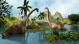 Riverbed: Brachiosaurus dinosaurs grazing in a prehistoric environment