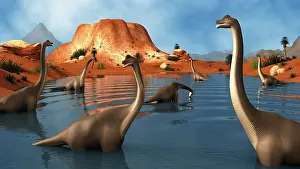Rippled: Brachiosaurus dinosaurs grazing in a prehistoric lake