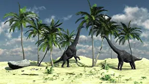 Brachiosaurid: Two Brachiosaurus dinosaurs grazing on trees