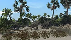 Brachiosaurus: Three Brachiosaurus dinosaurs grazing on vegetation