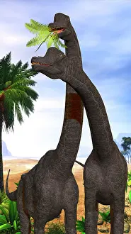 Altithorax: Brachiosaurus dinosaurs munch on tropical vegetation