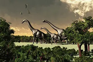 Paleo: Brachiosaurus dinosaurs walk through a forested area