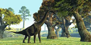 Terrible: Brachiosaurus dinosaurs walk among large trees in the ?