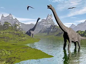 Pteranodon: Brachiosaurus dinosaurs walking in a stream on a beautiful ?