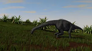 Bending: Brachiosaurus grazing in a grassy field