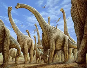 Brachiosaurus: Brachiosaurus herd on the move