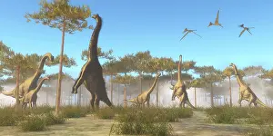 A Brachiosaurus herd grazing on treetops