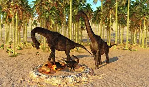 Curiosity: Two Brachiosaurus parents watch their offspring
