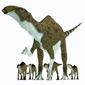 Saurolophinae: Brachylophosaurus with offspring