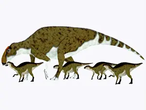 Saurolophinae: Brachylophosaurus with offspring