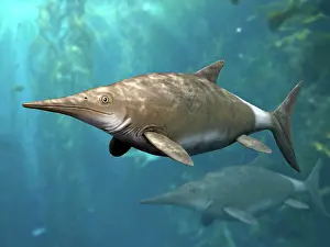 Tithonian: Brachypterygius is an extinct ichthyosaur from the Late ?