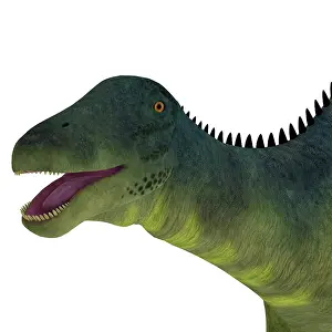 Close Up: Brachytrachelopan dinosaur portrait