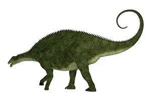 Tithonian: Brachytrachelopan dinosaur, side view on white background