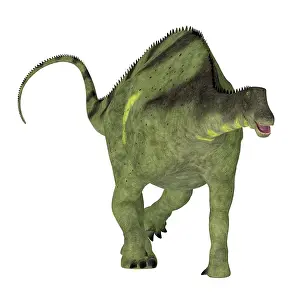 Titanosaur: Brachytrachelopan dinosaur, front view on white background