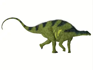 Tithonian: Brachytrachelopan dinosaur, white background
