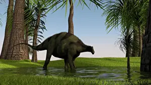 Dicraeosauridae: Brachytrachelopan wading in shallow water