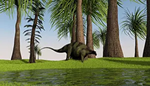 Dicraeosauridae: Brachytrachelopan walking along the edge of a swamp