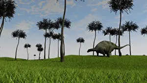 Brachytrachelopan: Brachytrachelopan walking across a grassy field