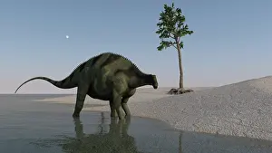 Dicraeosauridae: Brachytrachelopan walking along shallow water