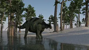Tempskya: Brachytrachelopan walking along shallow water