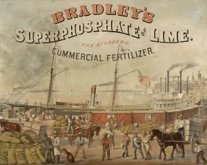Freight: Bradley's superphosphate of lime. The standard