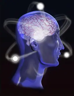 Genius: Brain Activity, Conceptual Illustration