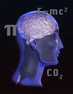 Genius: Brain Activity, Conceptual Illustration