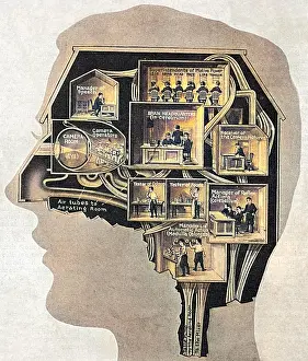 Cerebrum: BRAIN/BUSINESS CENTRE