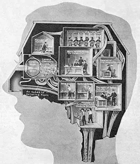 Cerebrum: BRAIN/BUSINESS CENTRE
