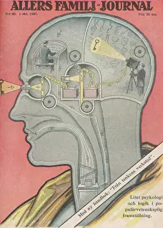 Brain: What the Brain Does