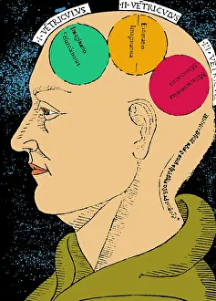 Philosophia: Brain Functions, Albertus Magnus Woodcut
