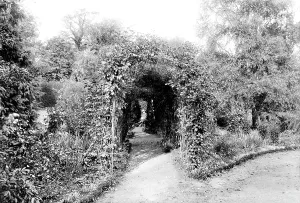 Braintree: Braintree, Public Gardens 1909