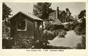 Holt: Bramblewood