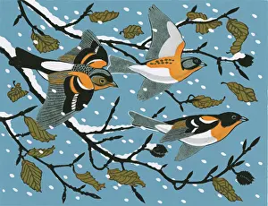 Linocut: Bramblings - Christmas Card Design