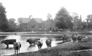 Brampton: Brampton, Pond and Schools 1907