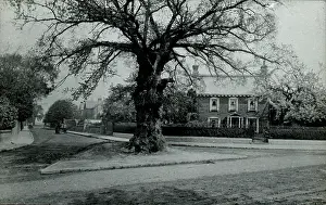 Brampton: Brampton Road Corner