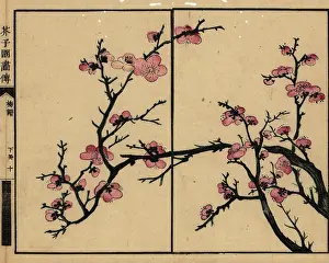 Cudgel: Branch of pink plum blossom