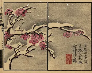 Wormhole: Branch of plum blossom covered with snow