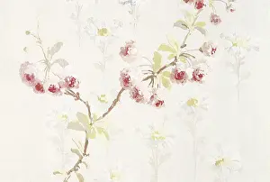 Centers: A branch with white flowers with red centers on an off-white