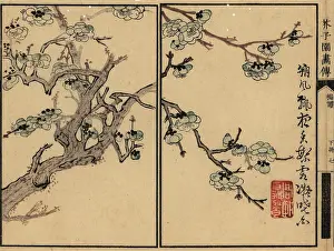 Wormhole: Branch of white plum blossom with calligraphy and seal