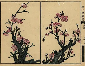 Wormhole: Branches of plum blossom