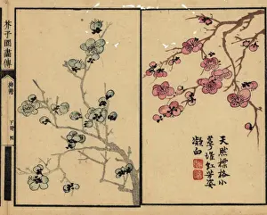 Wormhole: Branches of plum blossom with calligraphy and seal
