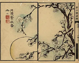 Wormhole: Branches of white plum blossom against a full moon