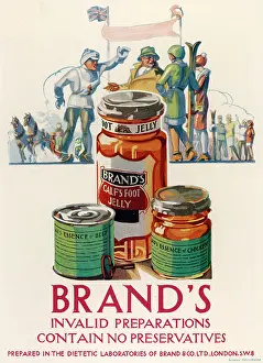Broth: Brand's Invalid Preparations advertisement