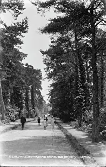 Chine: Branksome Chine Drive