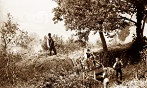 Branscombe: Branscombe haymaking probably taken in 1888